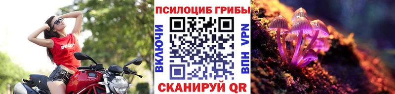 Псилоцибиновые грибы Cubensis  Кыштым 