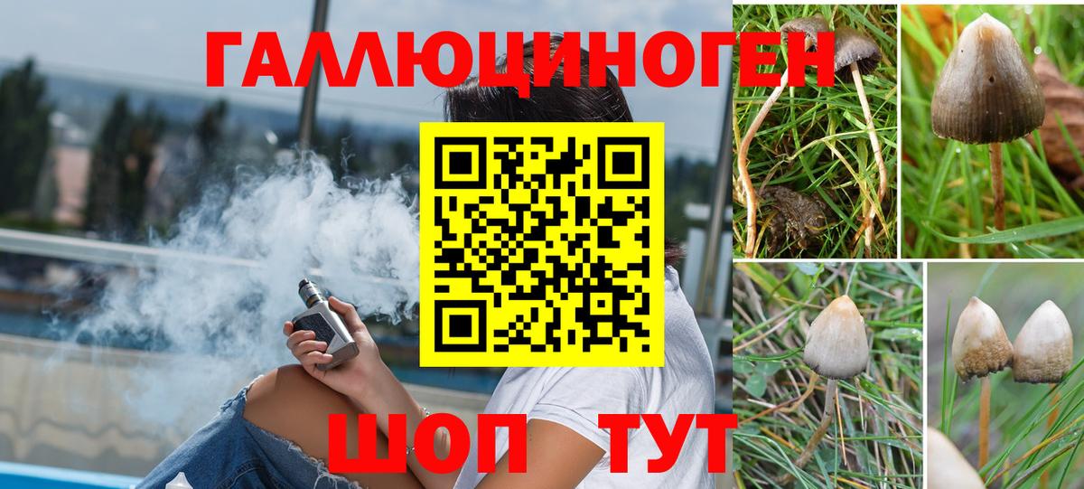 Галлюциногенные грибы MAGIC MUSHROOMS  Вход с VPN  Кыштым  Галлюциногенные грибы GOLDEN TEACHER 