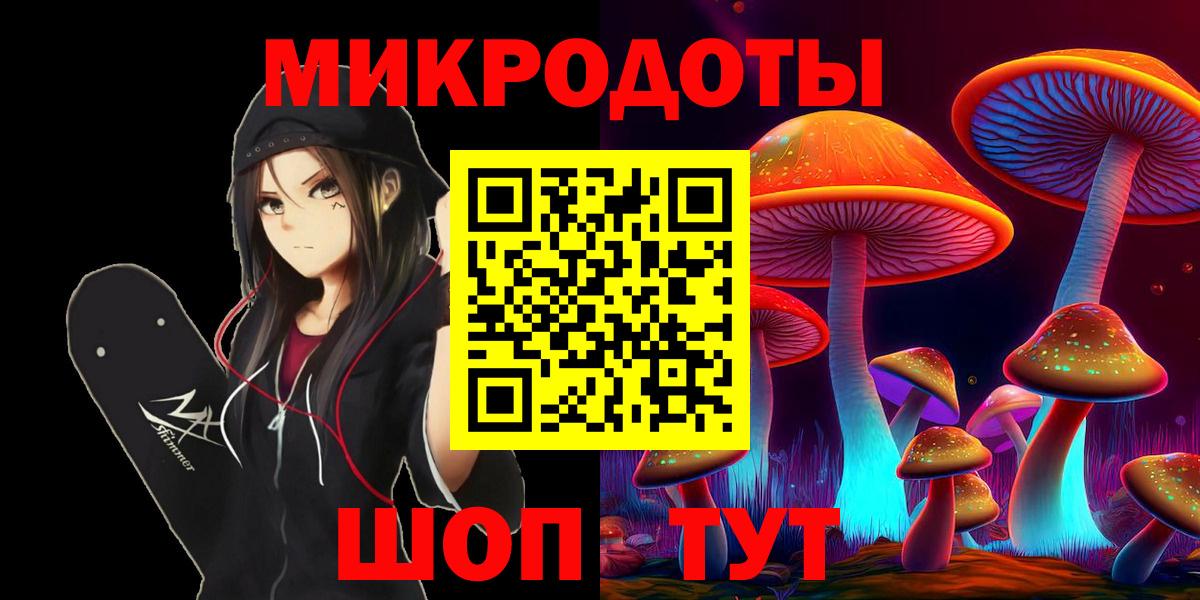 Псилоцибиновые грибы Psilocybine cubensis Кыштым